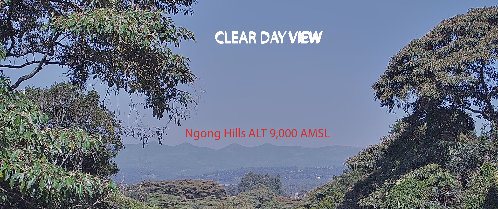 Ngong Clear View